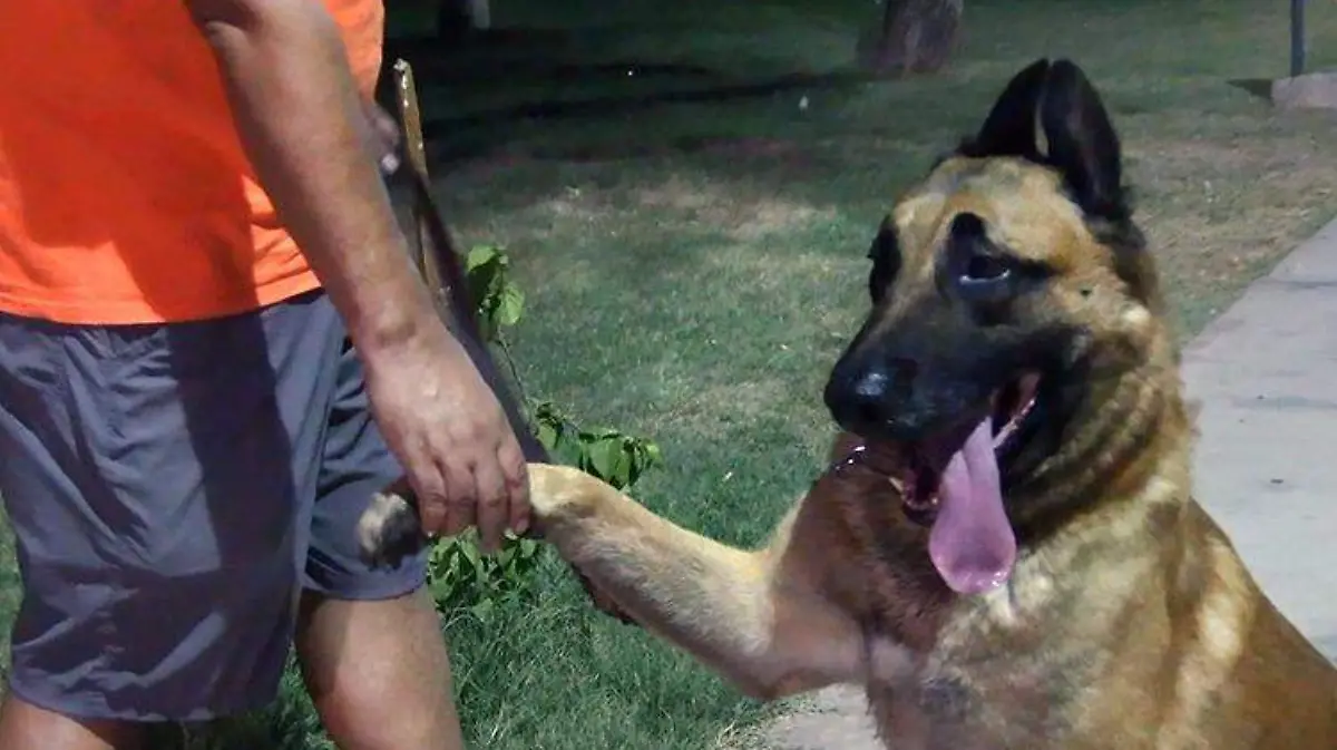 WhatsApp Image 2022-07-21 at 5.42.14 PM