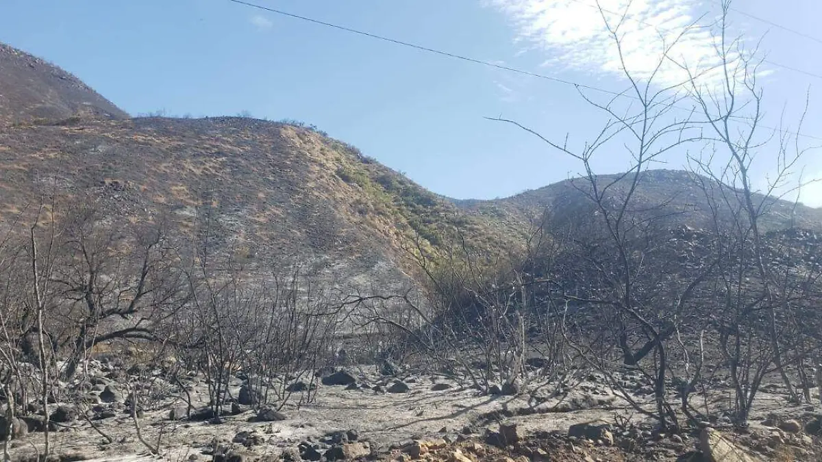 WhatsApp Image 2024-06-24 at 3.29.49 PM