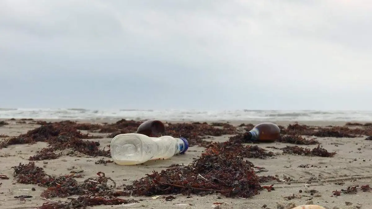 Captura de pantalla 2022-06-08 a la(s) 17.02.49