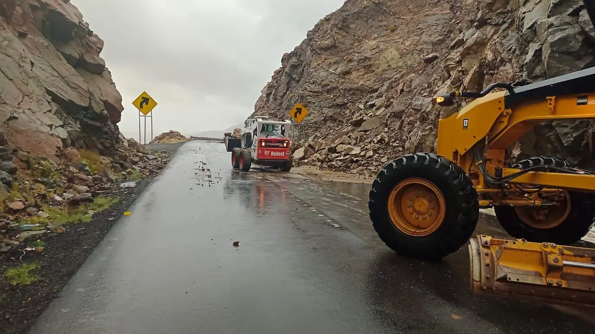 WhatsApp Image 2023-08-20 at 3.06.09 PM