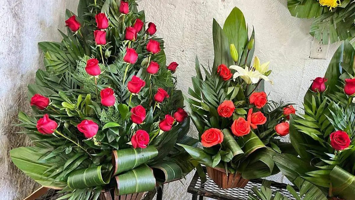 WhatsApp Image 2023-02-10 at 11.13.27 AM