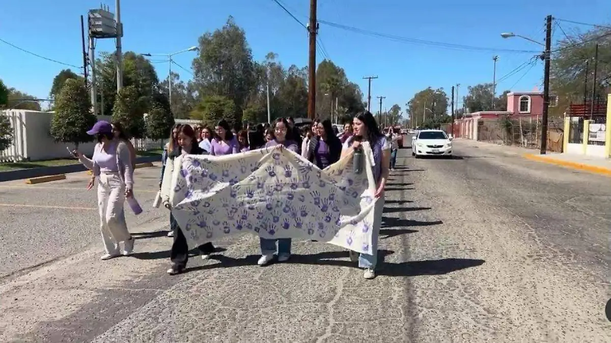 WhatsApp Image 2024-03-08 at 2.07.38 PM