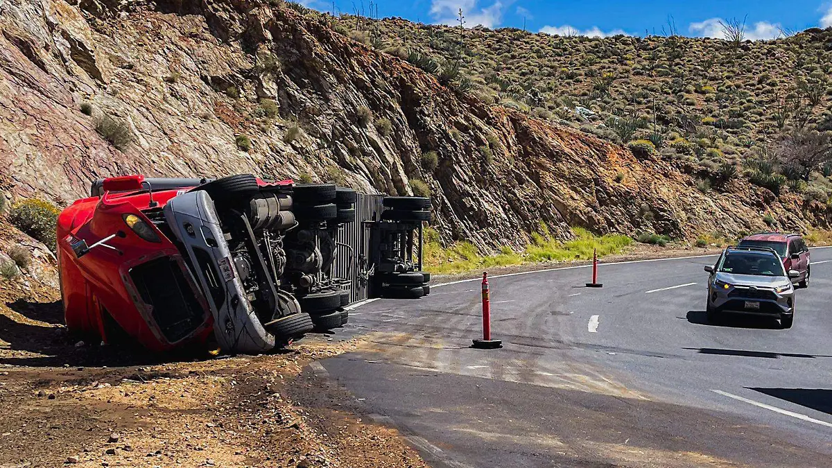 WhatsApp Image 2024-04-26 at 3.09.51 PM