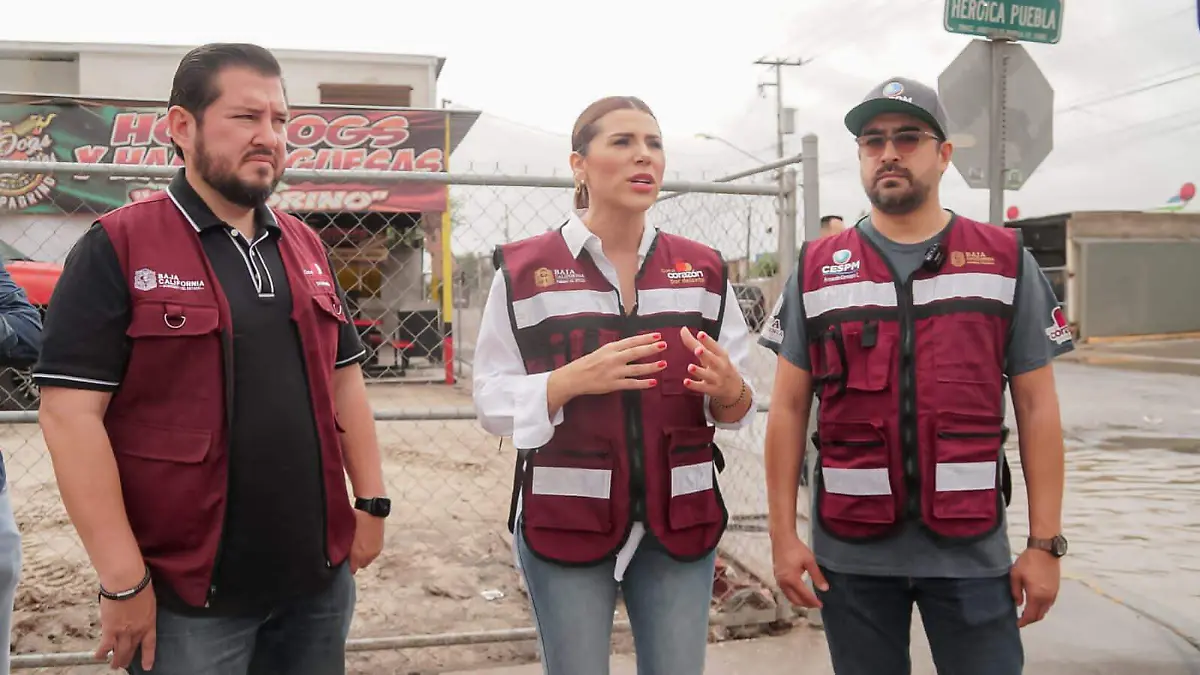 WhatsApp Image 2023-08-20 at 2.52.38 PM