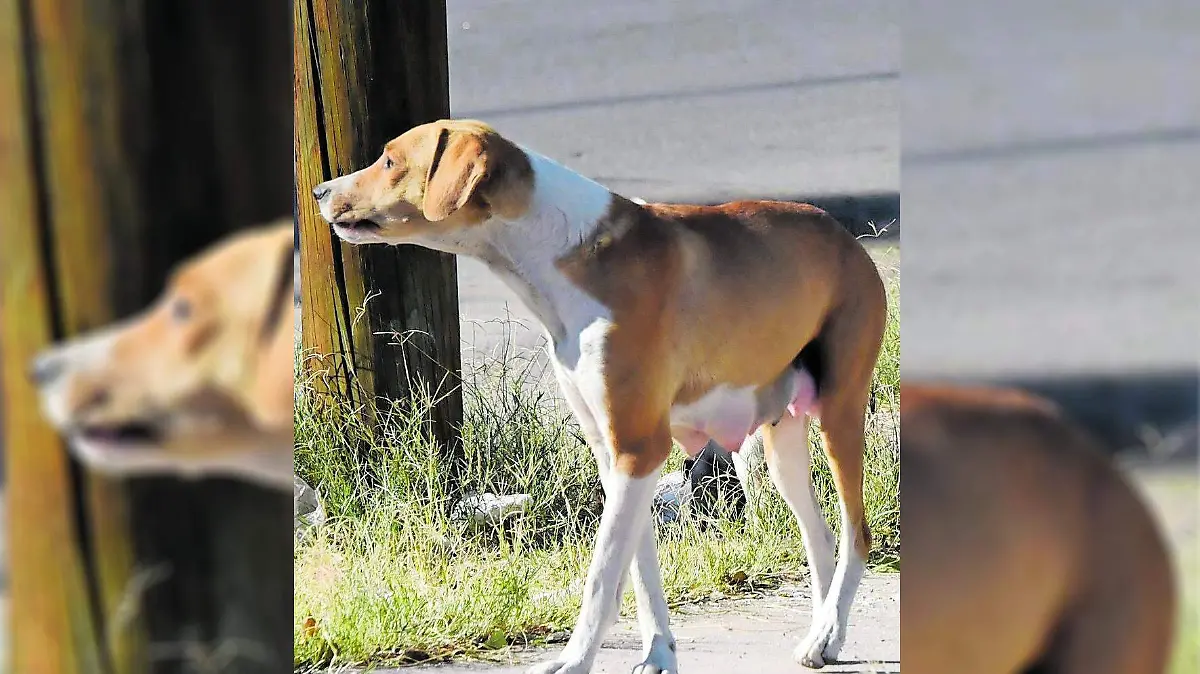 WhatsApp Image 2022-04-21 at 7.27.05 PM