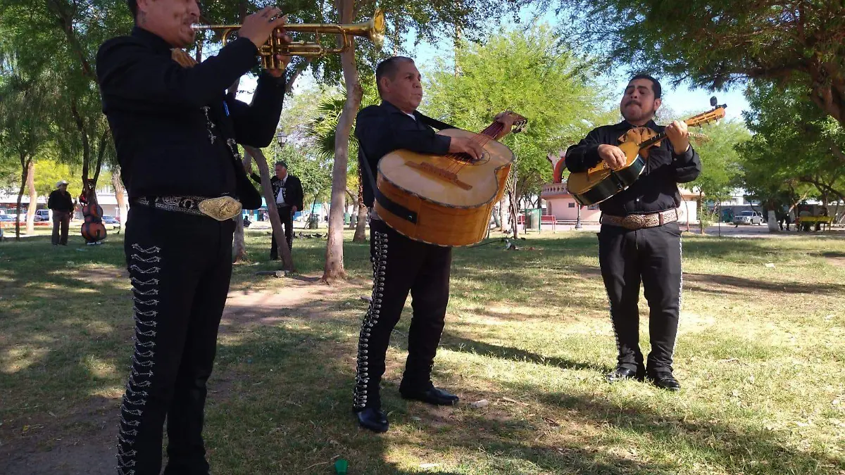 WhatsApp Image 2023-05-08 at 3.15.02 PM (1)