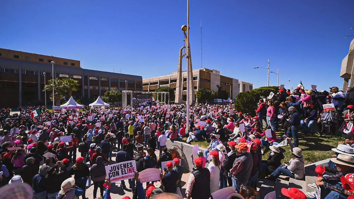 WhatsApp Image 2023-02-26 at 11.44.47 AM