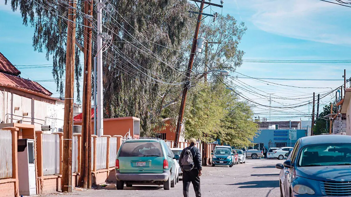 WhatsApp Image 2024-01-29 at 1.53.48 PM