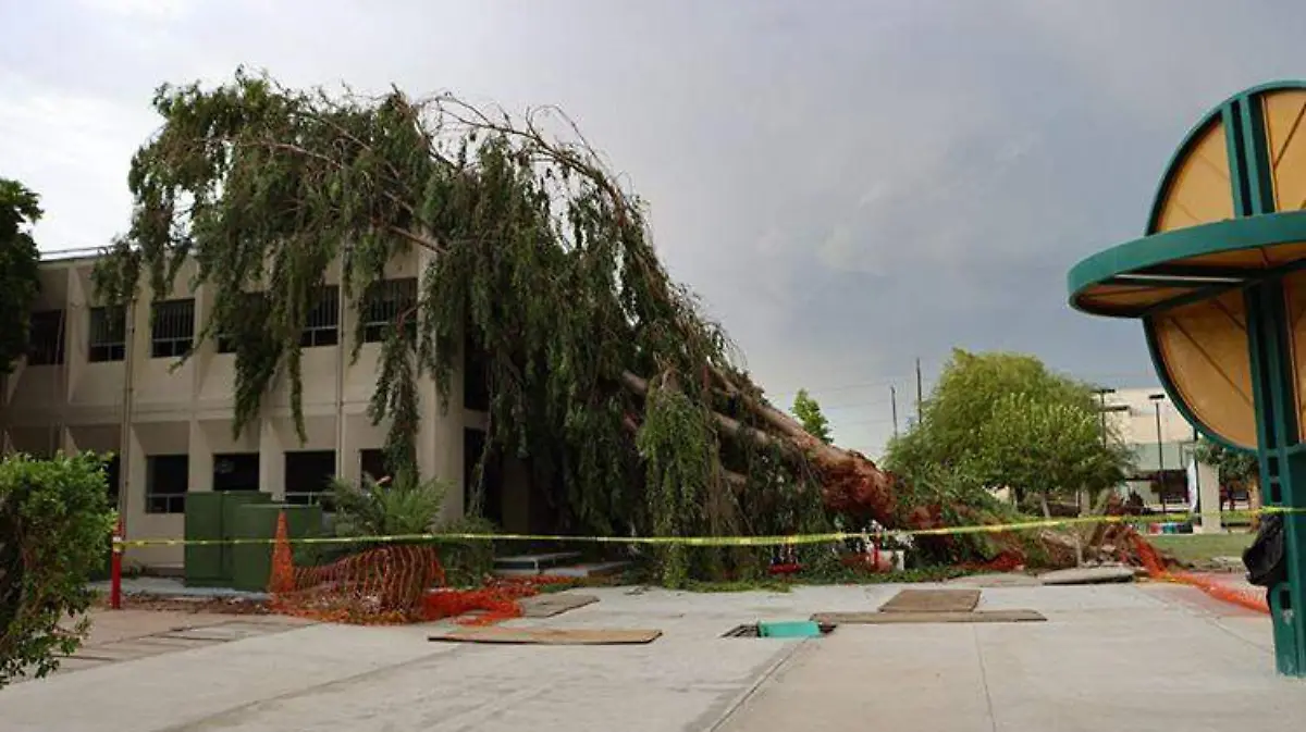 537cbb33-8cd0-494e-8e80-7e9287288439