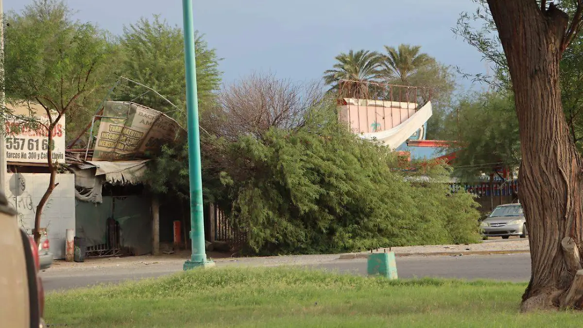 WhatsApp Image 2022-10-06 at 5.19.42 PM