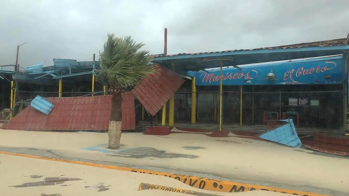 WhatsApp Image 2023-08-20 at 3.05.48 PM