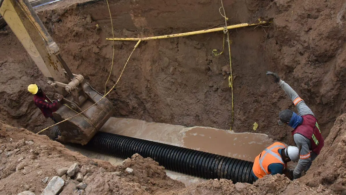 WhatsApp Image 2023-11-16 at 1.02.41 PM (1)