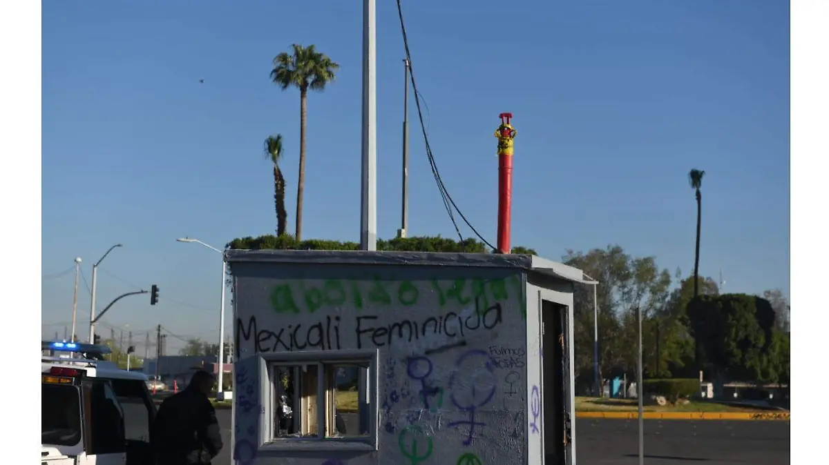 WhatsApp Image 2022-03-09 at 6.05.46 PM