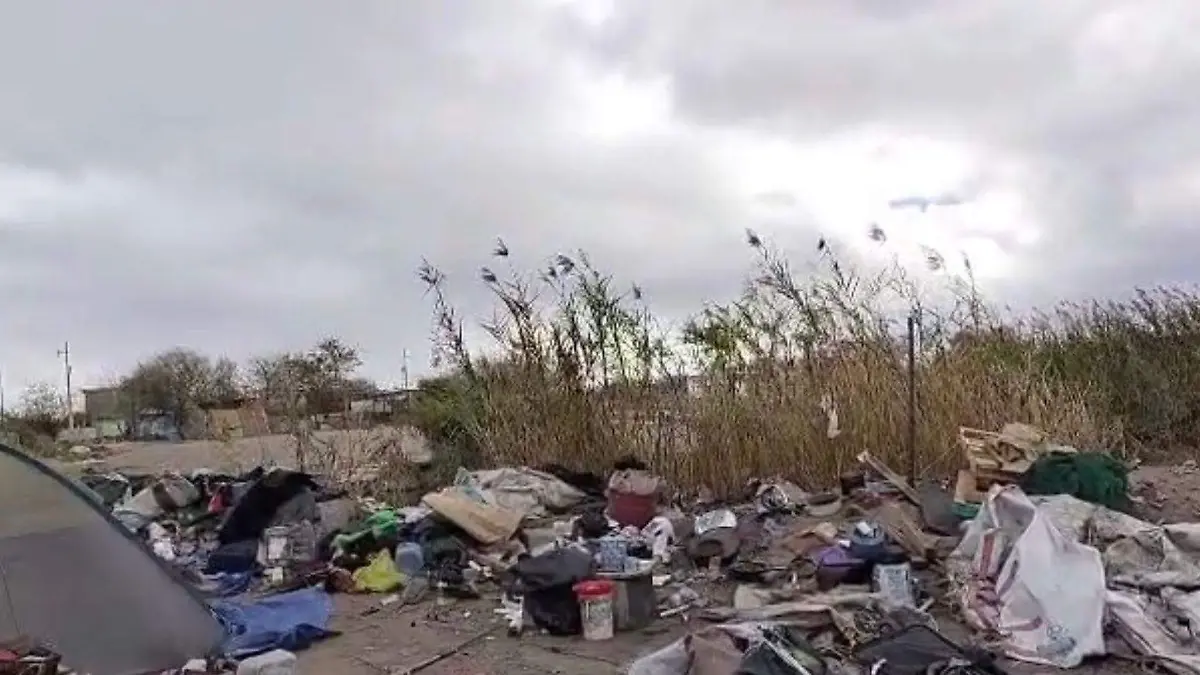 WhatsApp Image 2023-03-01 at 4.22.28 PM