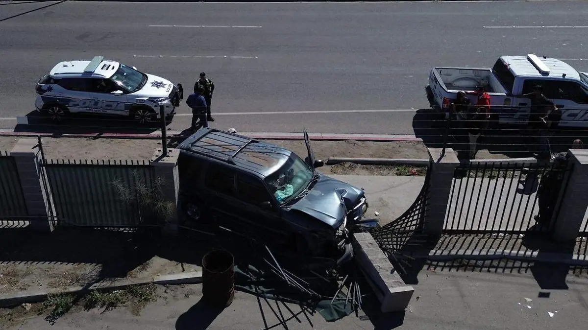 WhatsApp Image 2024-02-23 at 11.43.14 AM