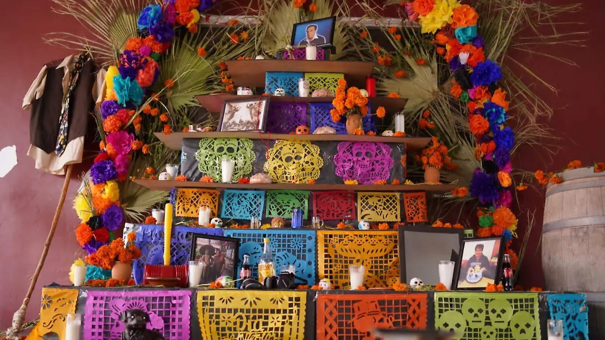 WhatsApp Image 2022-11-01 at 12.53.27 PM