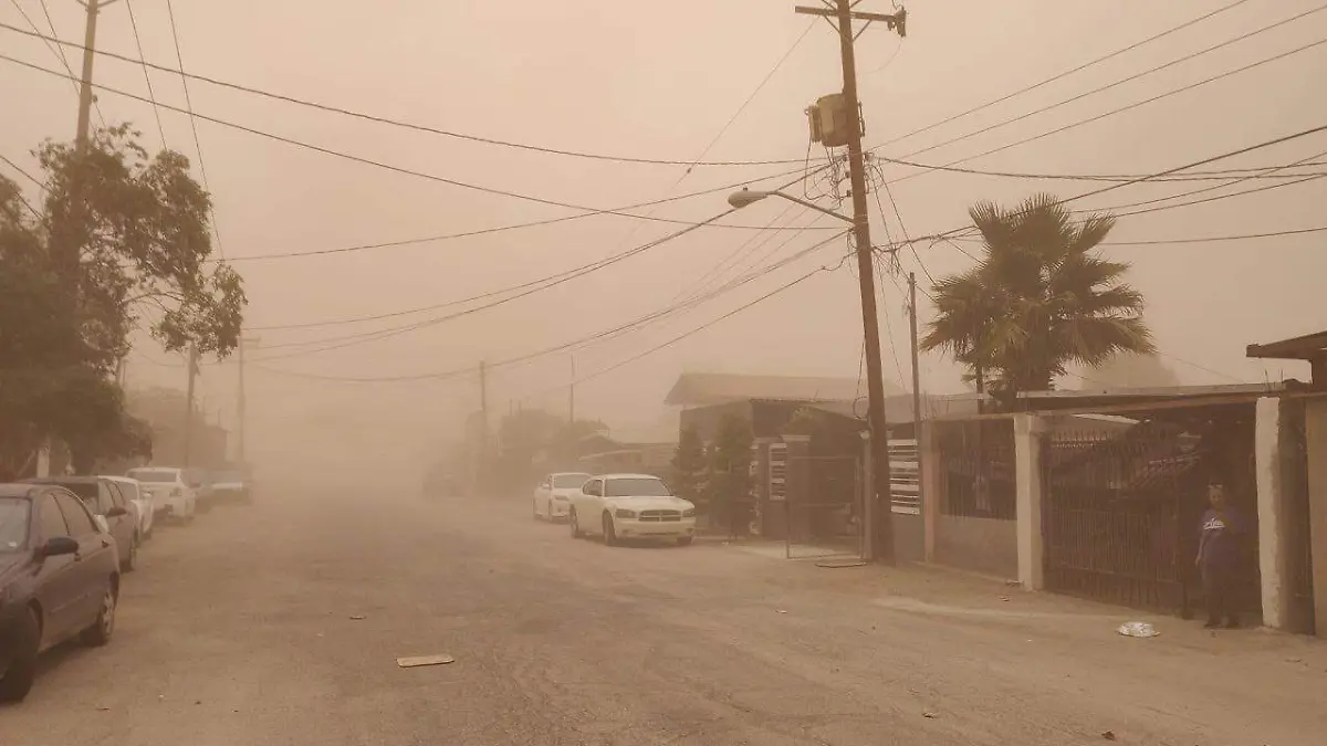 WhatsApp Image 2022-10-06 at 3.58.10 PM (3)