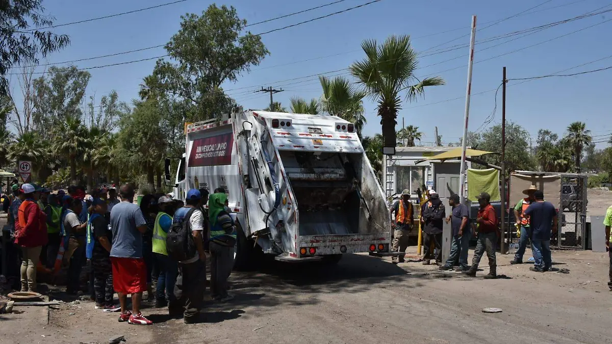 WhatsApp Image 2024-05-31 at 11.13.00 AM