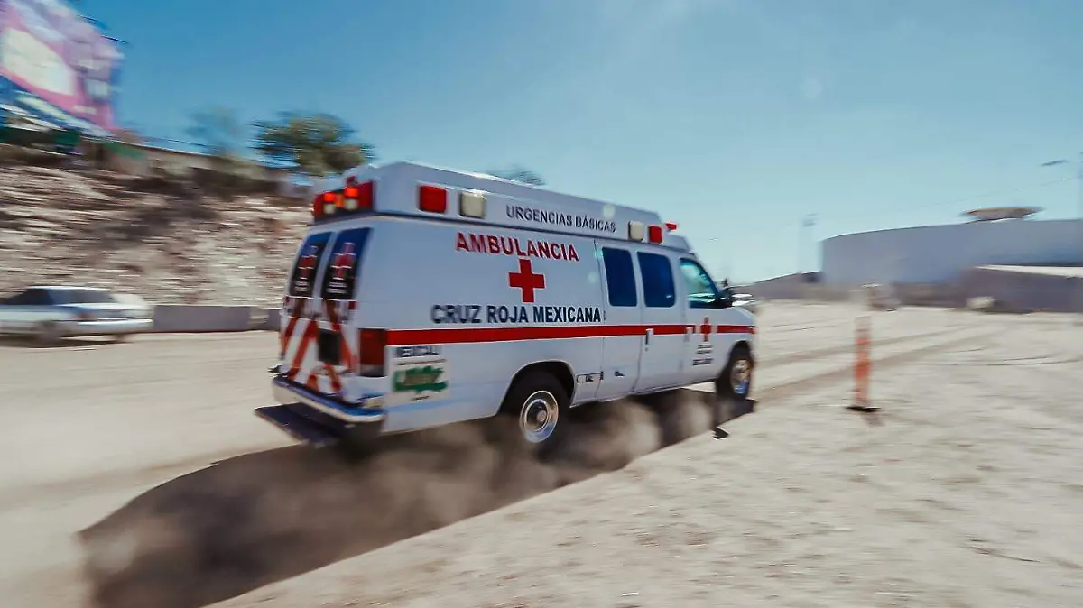 WhatsApp Image 2023-07-05 at 10.15.57 AM (1)