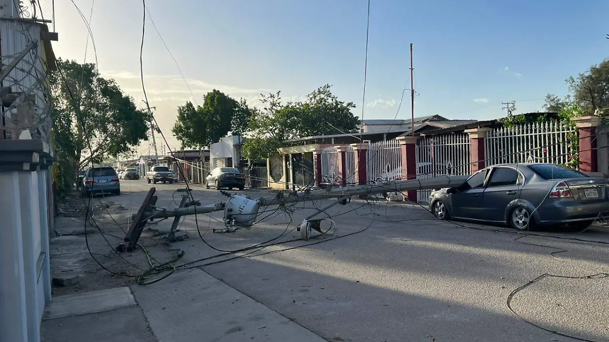 WhatsApp Image 2023-09-30 at 5.25.09 PM (1)