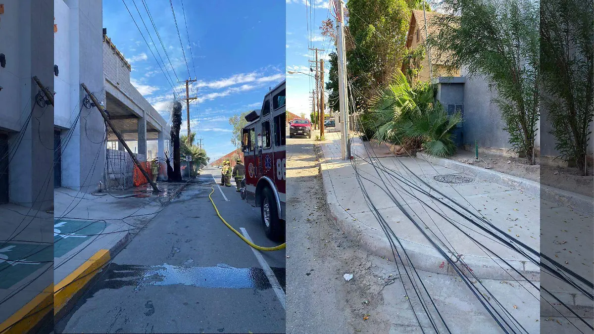 El texto del párrafo (20)