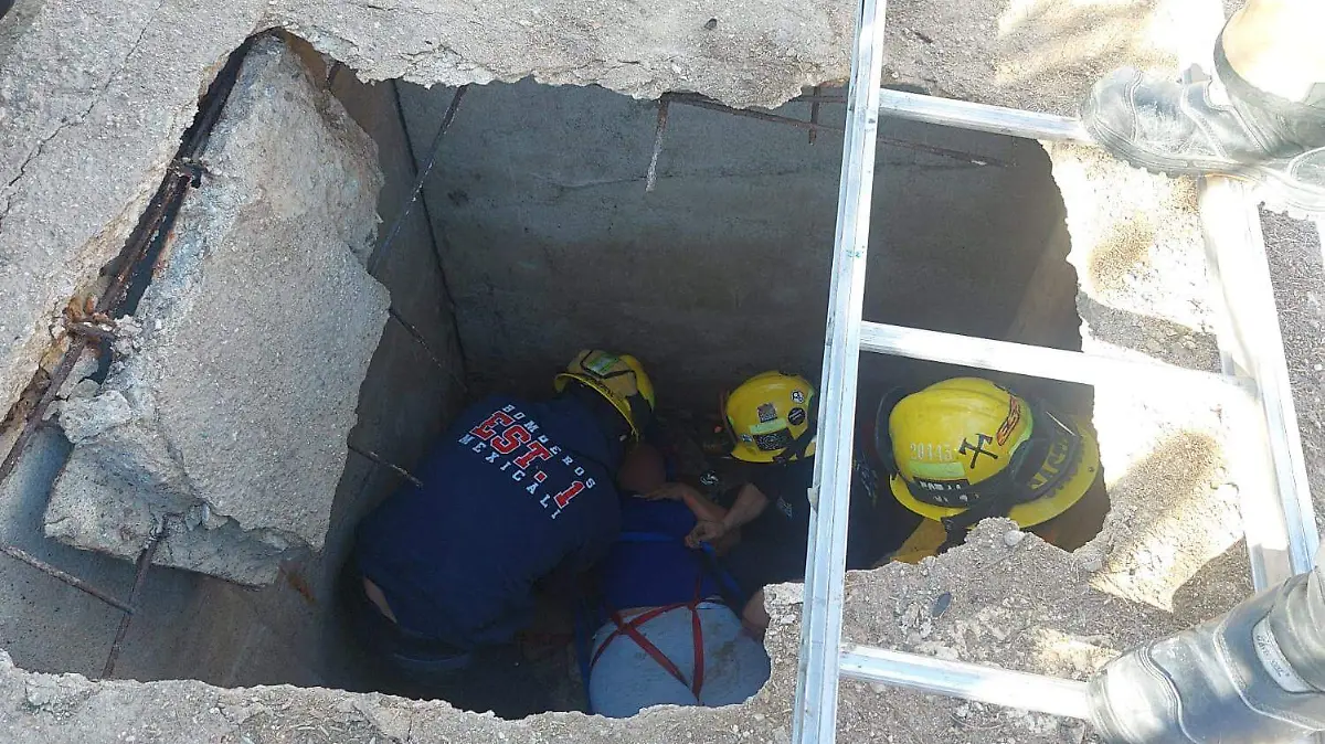 WhatsApp Image 2023-02-01 at 3.34.52 PM copia