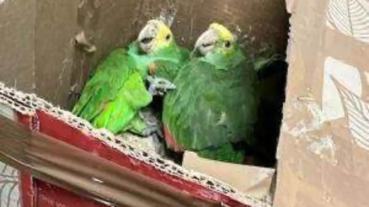 WhatsApp Image 2024-03-12 at 12.40.51 PM