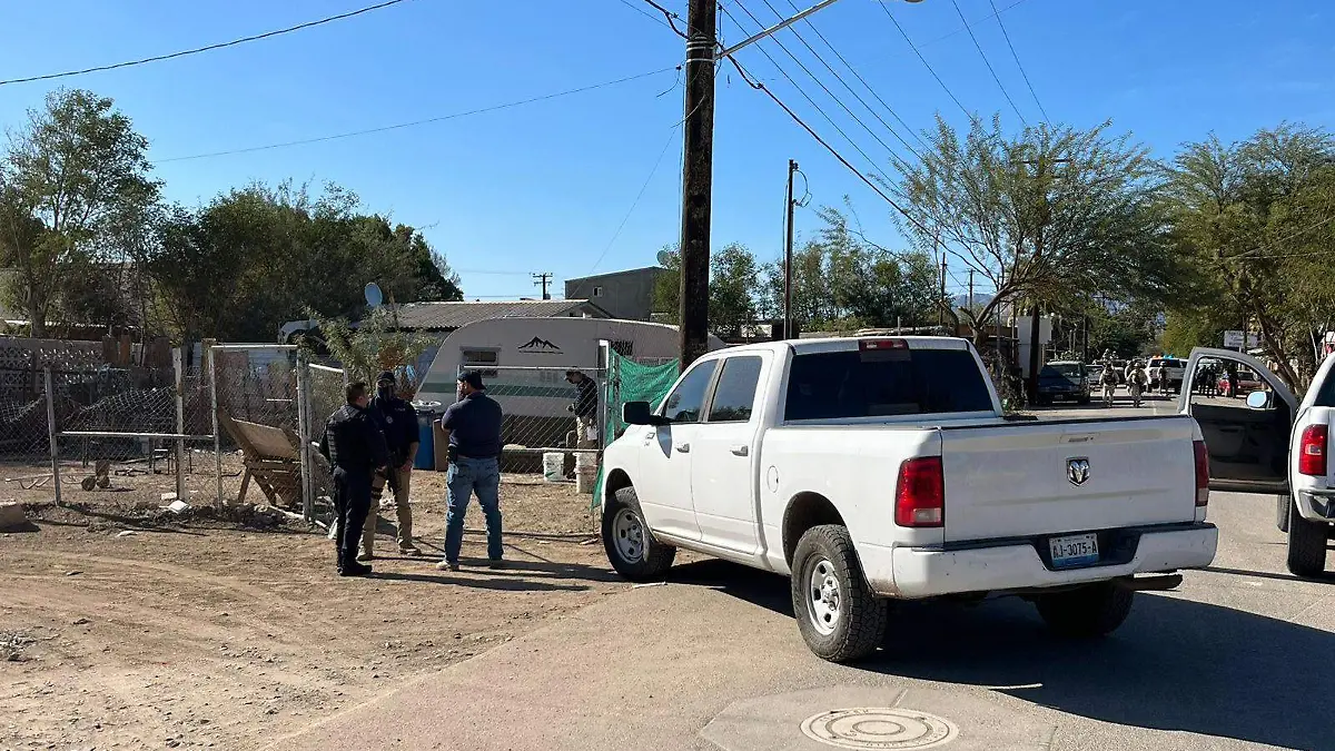 WhatsApp Image 2022-12-14 at 2.34.17 PM