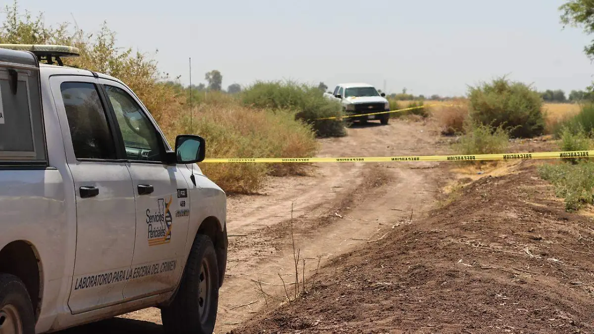 WhatsApp Image 2023-05-11 at 10.52.19 AM (1)