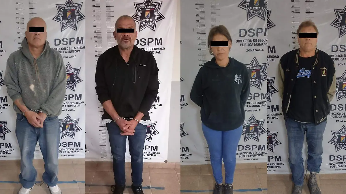 WhatsApp Image 2024-02-20 at 3.13.40 PM (1)