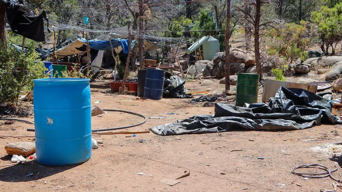 WhatsApp Image 2023-06-23 at 1.46.33 PM