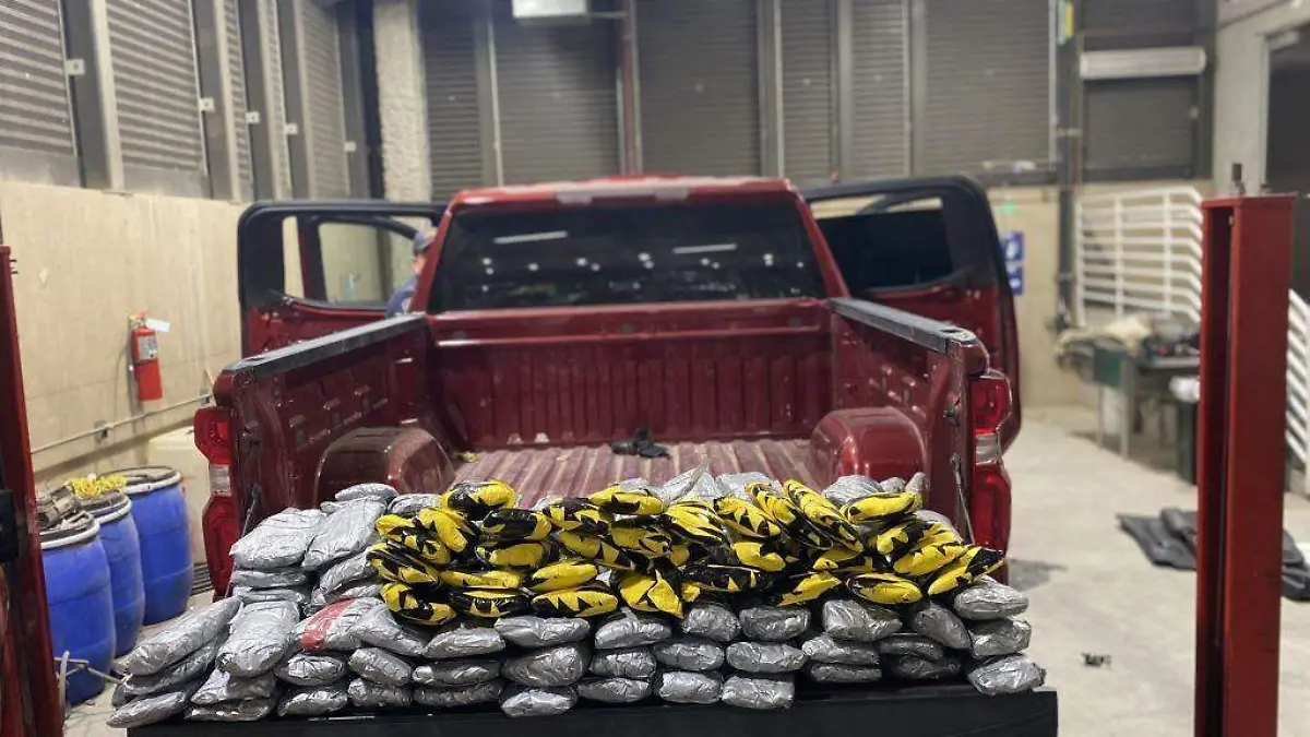 WhatsApp Image 2023-08-12 at 10.09.01 AM