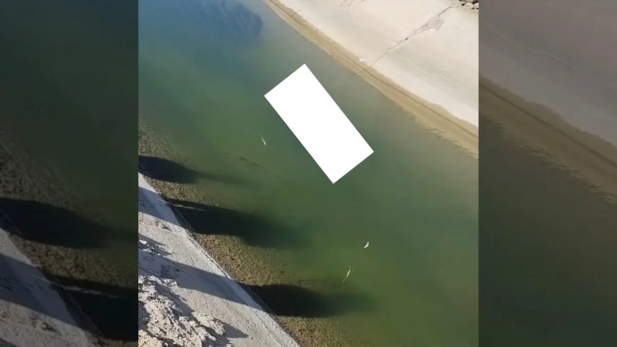 --- (5)