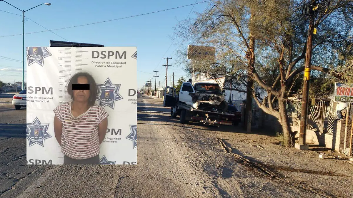 WhatsApp Image 2024-02-22 at 1.56.47 PM