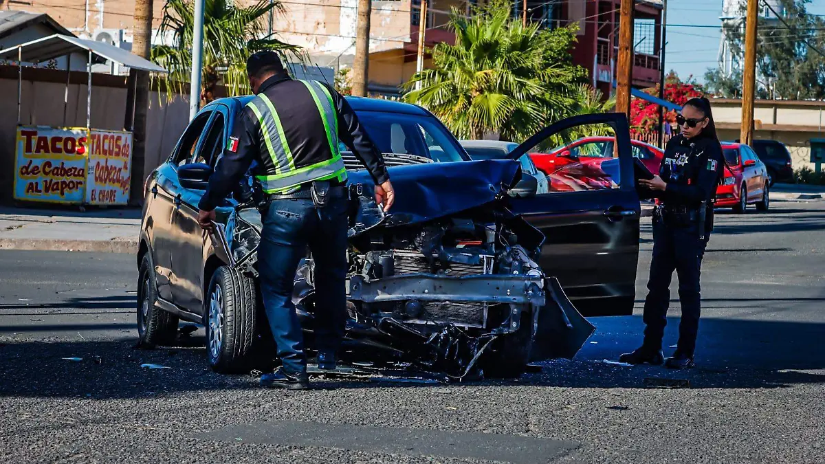 WhatsApp Image 2023-11-20 at 2.17.57 PM (2)