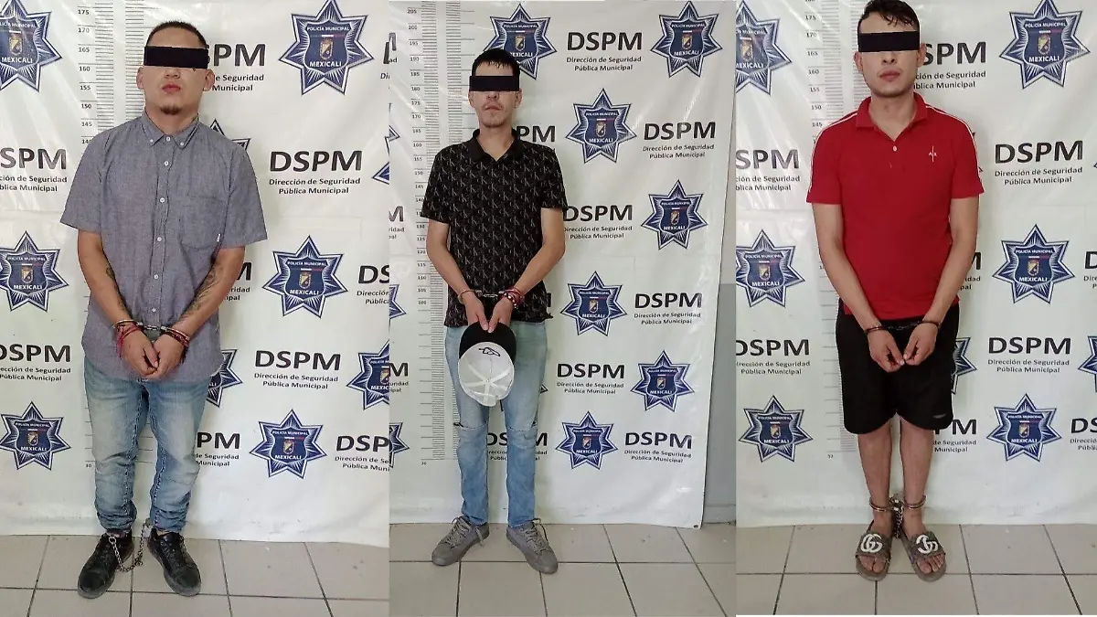 El texto del párrafo (8)