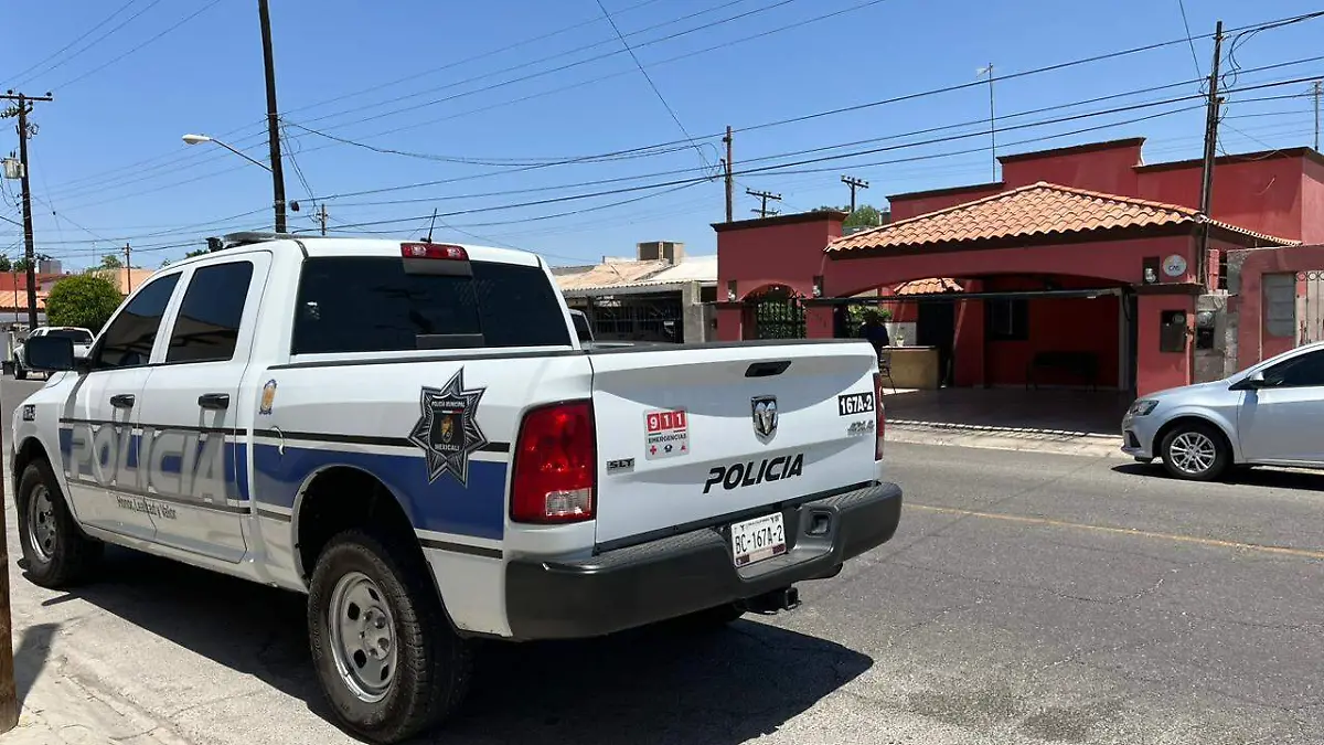 WhatsApp Image 2023-05-12 at 1.23.42 PM