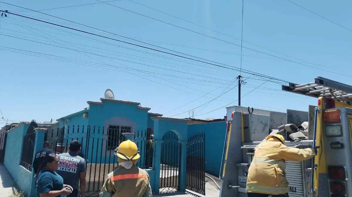 WhatsApp Image 2024-06-02 at 1.45.39 PM