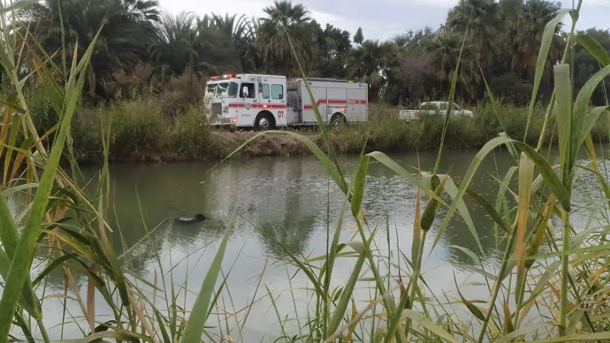 WhatsApp Image 2023-01-09 at 2.39.31 PM