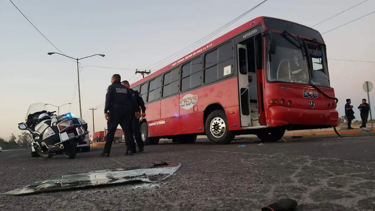 WhatsApp Image 2022-06-24 at 9.32.51 PM (1)