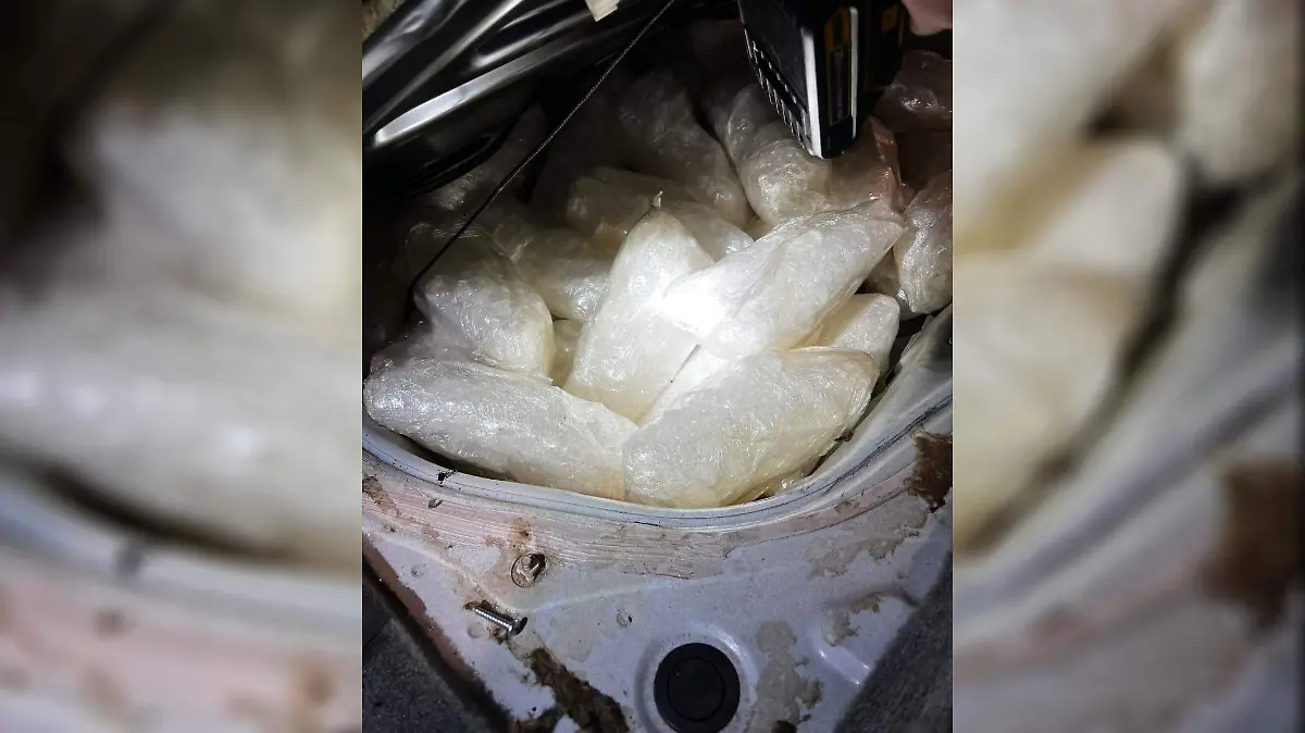 WhatsApp Image 2022-07-28 at 5.58.24 PM copia copia