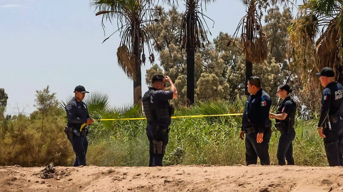 WhatsApp Image 2023-07-27 at 11.54.47 AM