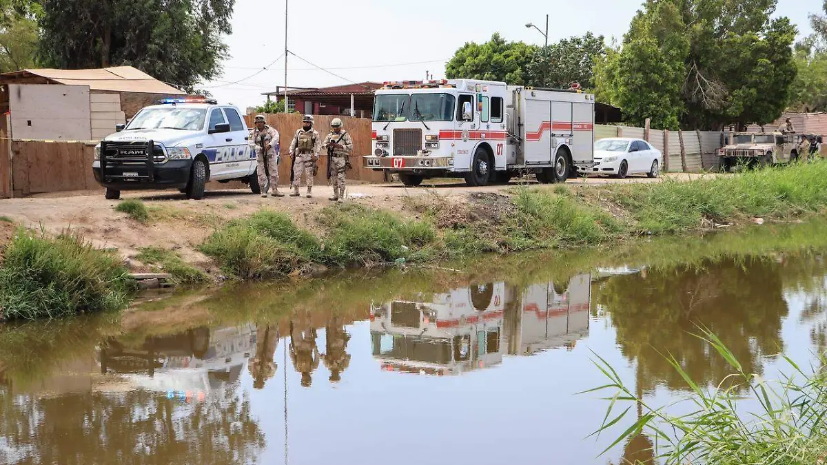 WhatsApp Image 2023-05-19 at 10.35.44 AM