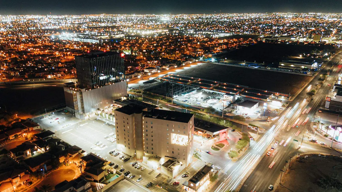 De igual manera, puede afectar a la vegetación, pues al estar estimuladas con luz artificial,