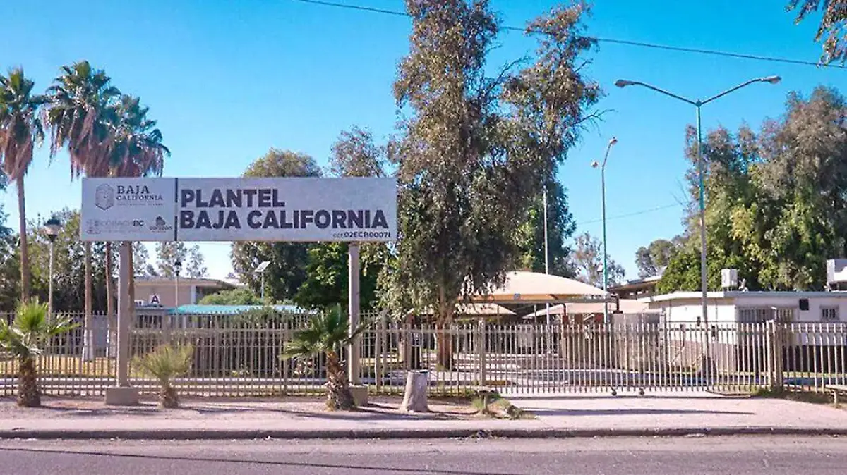 cobach mexicali