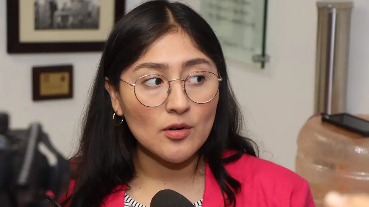 Michel Sánchez Allende, diputada local por Morena