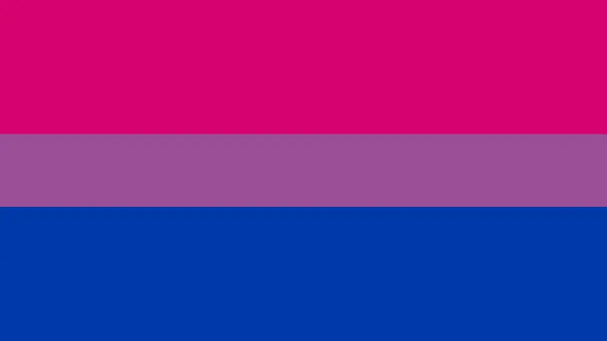 bandera bisexual