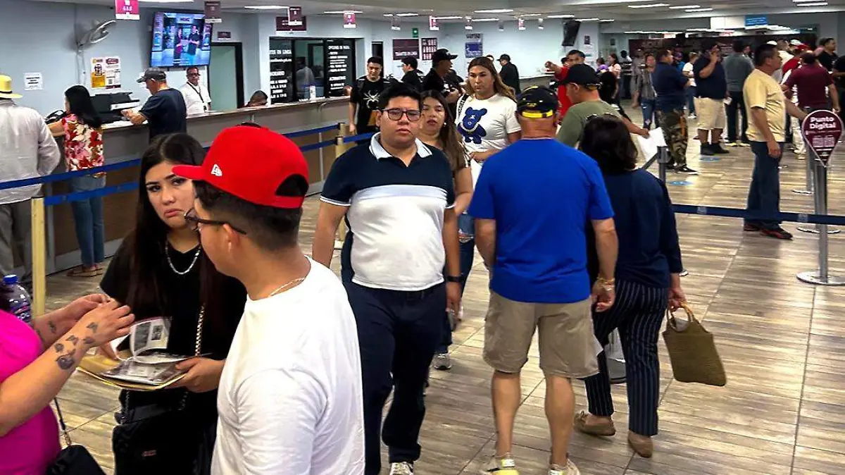 recaudación de rentas mexicali