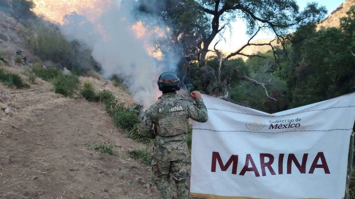 Marina valle de guadalupe 1