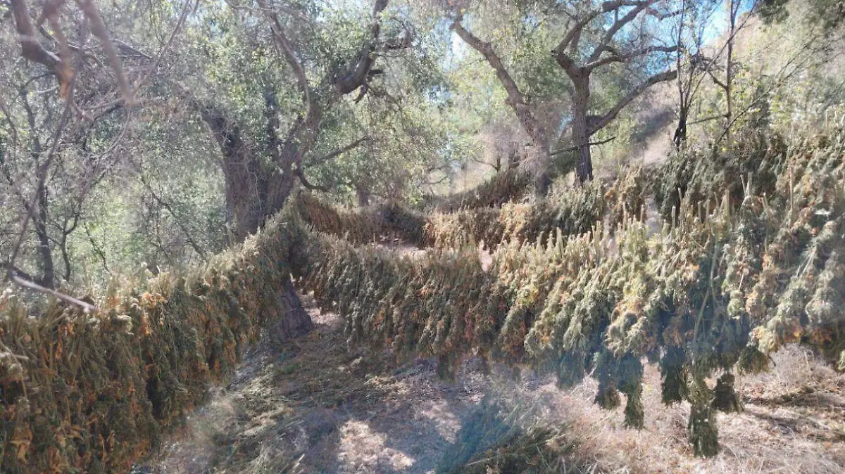 Marina valle de guadalupe 2